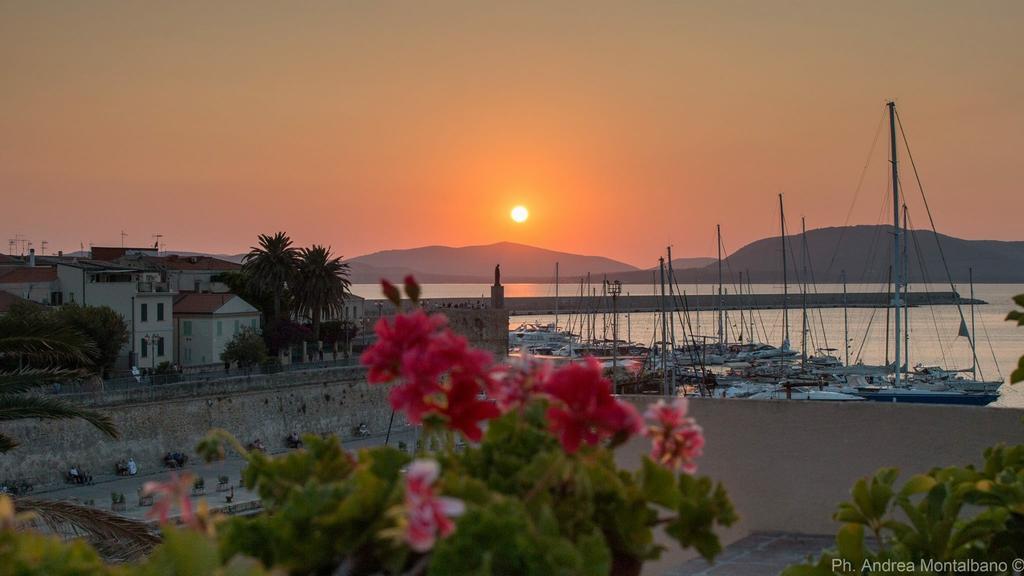 Bed & Breakfast La Terrazza Sul Porto -